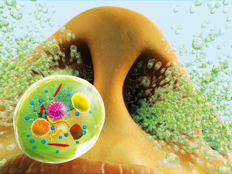 Микроб в носу фото