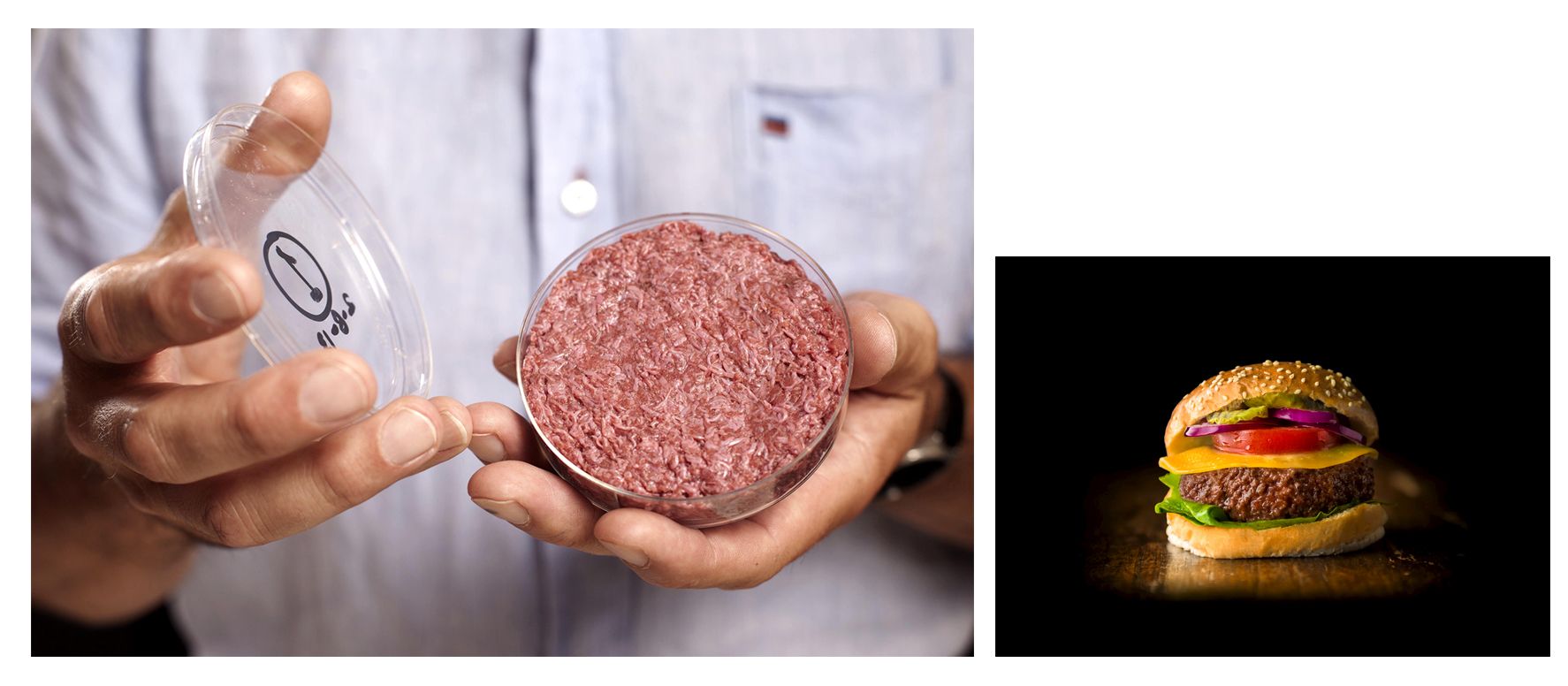 Hamburguesa de carne cultivada