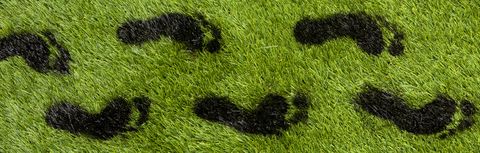 Carbon footprints Carbon footprints