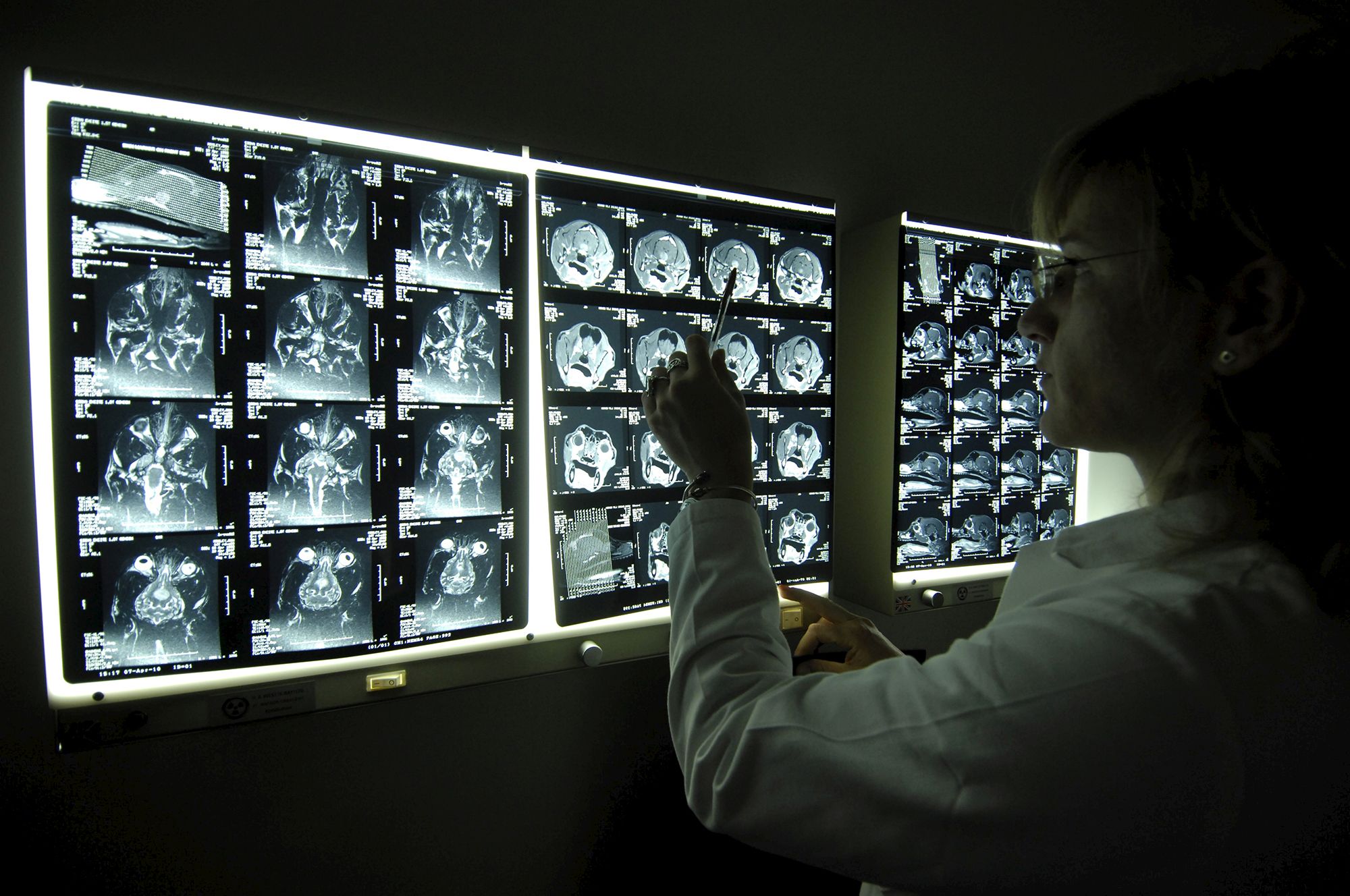 Investigación cáncer
