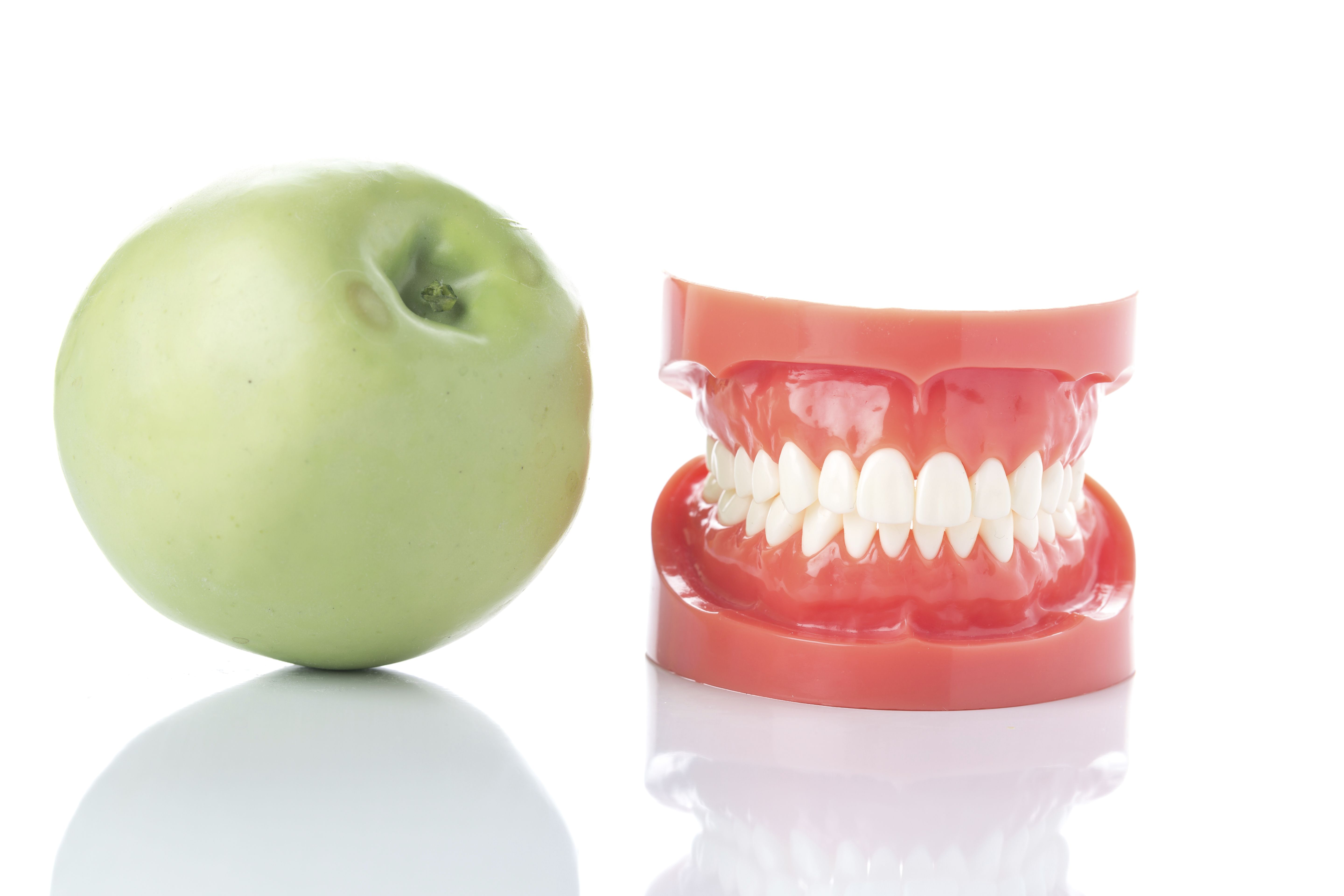 Dental model of teeth with apple