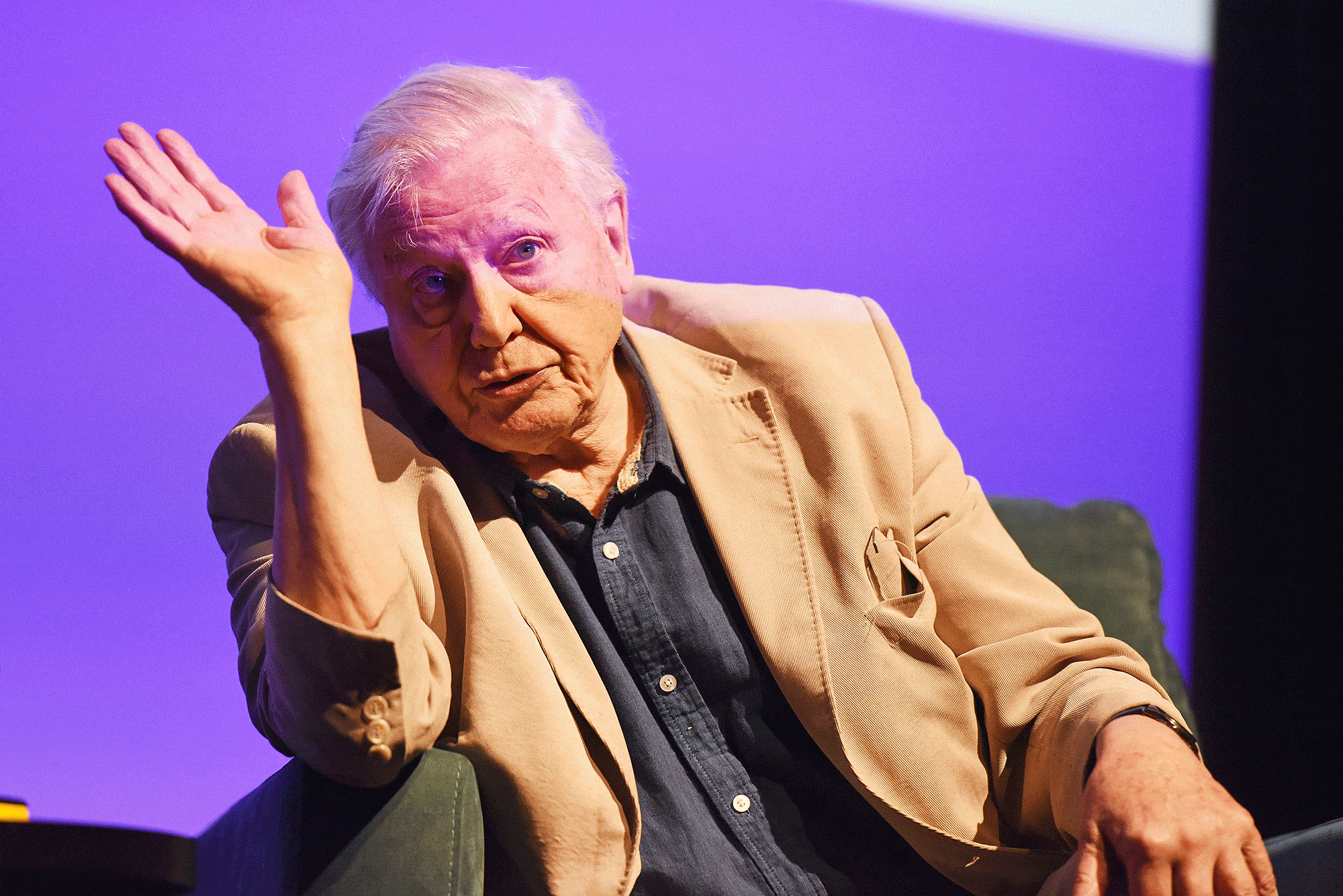 David Attenborough D
avid Attenborough