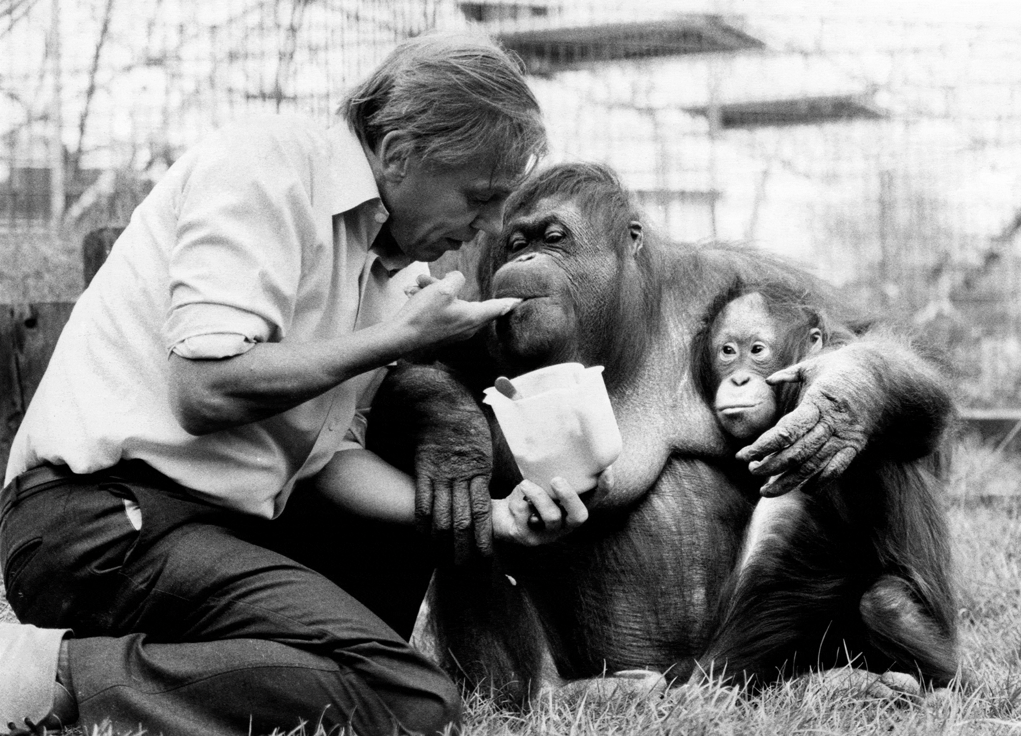 David Attenborough David Attenborough