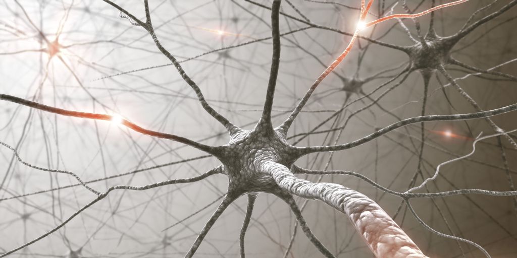 red de neuronas