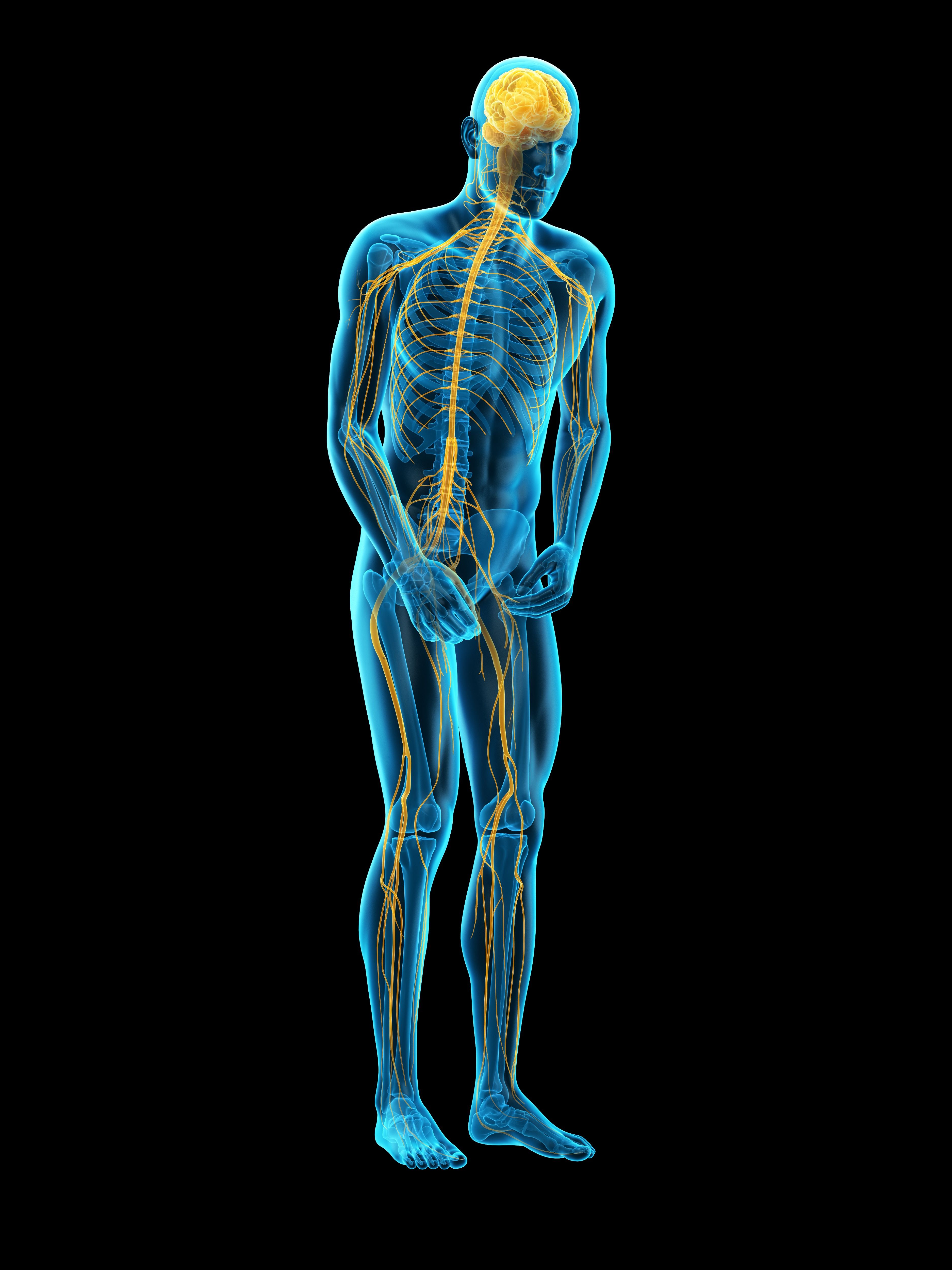 Person bending over, illustration