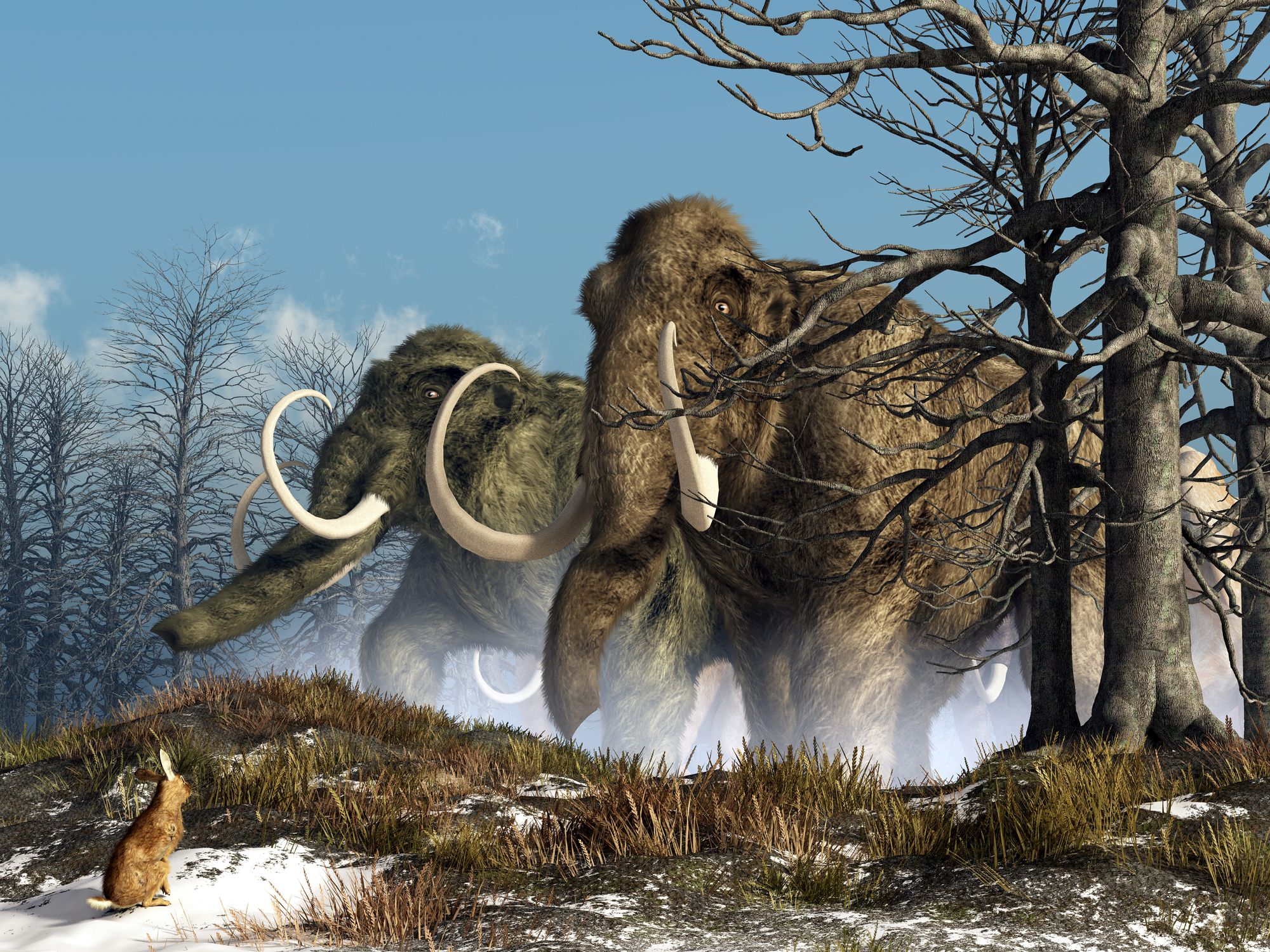 A rabbit witnesses a herd of mammoths in a snowy forest.