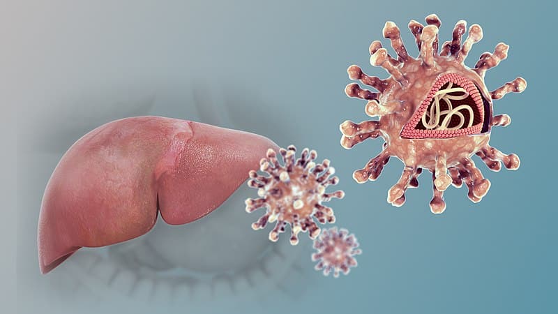Recreación en 3D de Hepatitis C