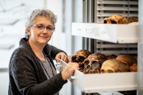 Primera reconstrucción en 3D del tórax de un neandertal