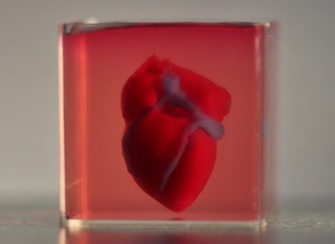 Por primera vez imprimen un corazón humano en 3D