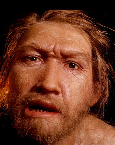 300.000 años, Homo Neanderthalensis