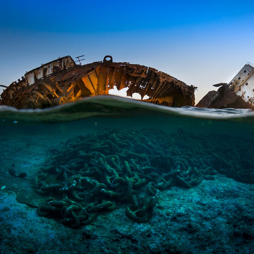 5 espectaculares imágenes… bajo el mar