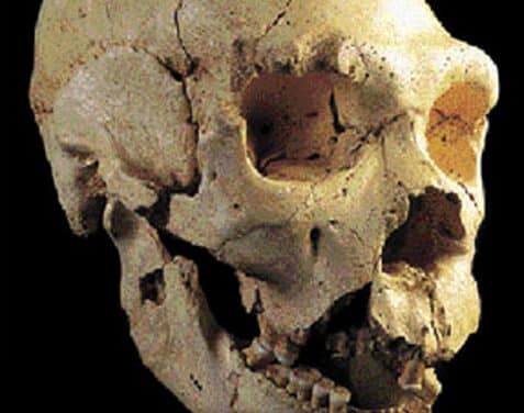 500.000 años, Homo heidelbergensis