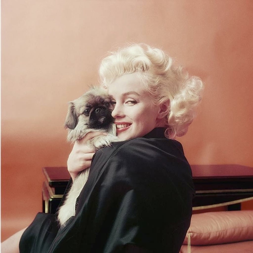6 fotos nunca vistas de Marilyn Monroe