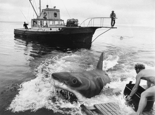 7 fotos del rodaje de Tiburón