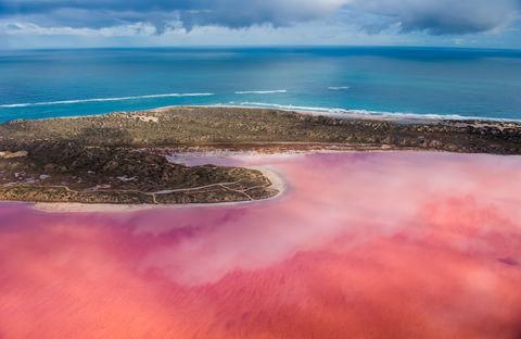 ¿Por qué este lago de Australia se vuelve de color rosa en verano?