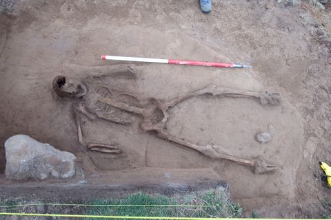 Encuentran un esqueleto medieval sin manos cerca de la tumba de un delfín