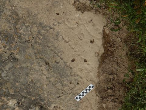 Descubren un juego de mesa de hace 4.000 años