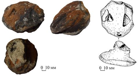 Encuentran piedras prehistóricas con forma de cabeza de serpiente