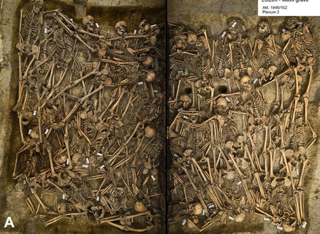 Analizan decenas de esqueletos de la Guerra de los Treinta Años
