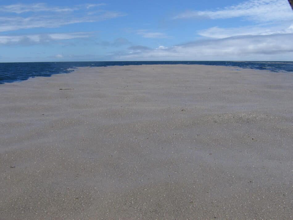 Aparece una isla de piedra pómez cerca de Nueva Zelanda