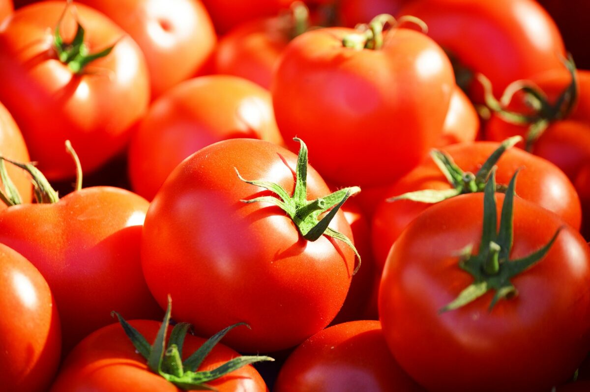 Aprende a elegir bien tomates para combatir el cáncer