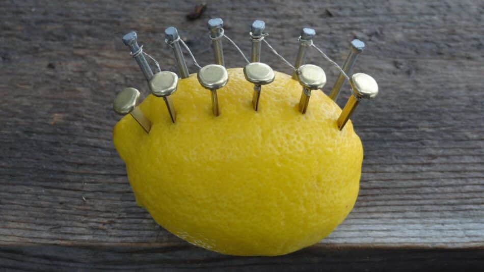 Aprende a hacer una fogata con un limón
