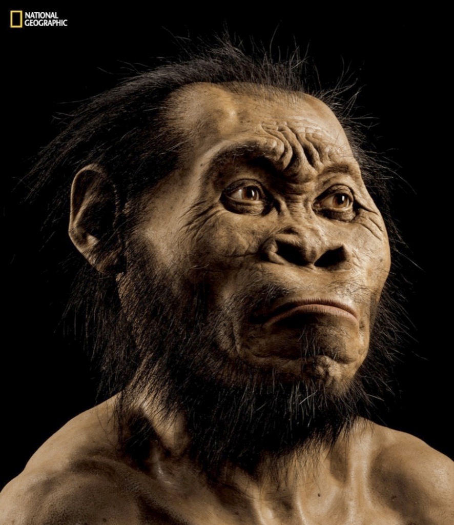 Así se recreó el rostro del Homo naledi