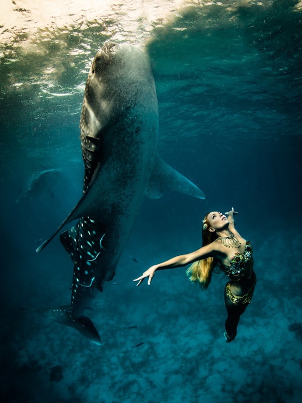 Bailando entre tiburones