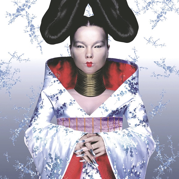 Björk de museo