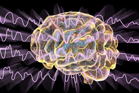 Nuestro cerebro puede detectar el campo magnético terrestre