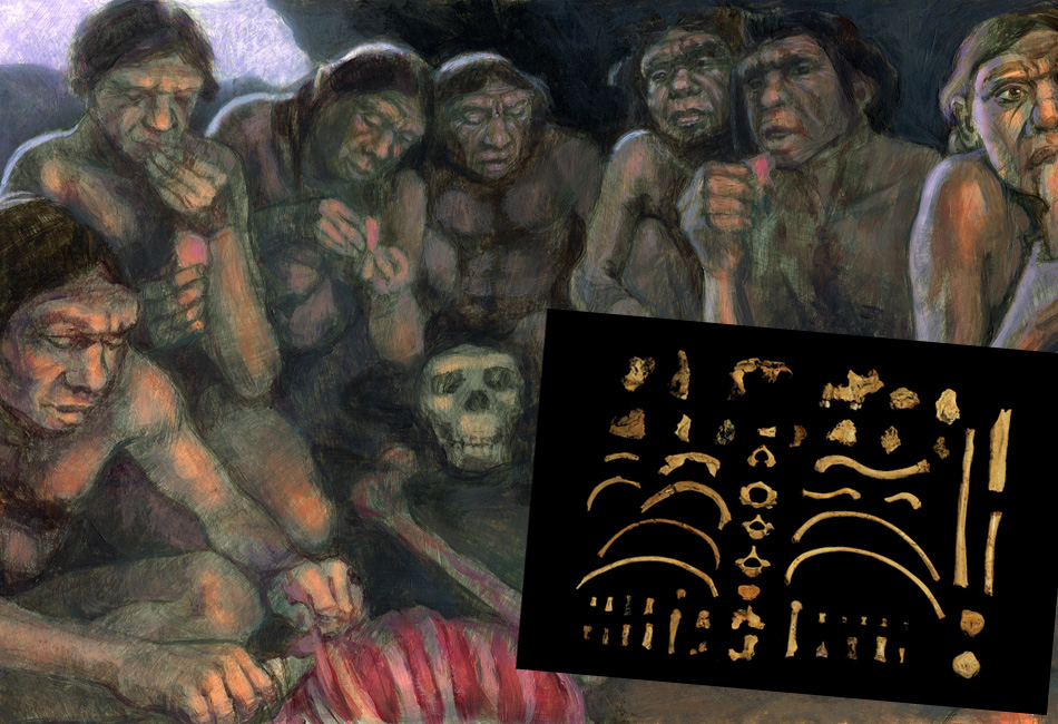 Canibalismo en Atapuerca