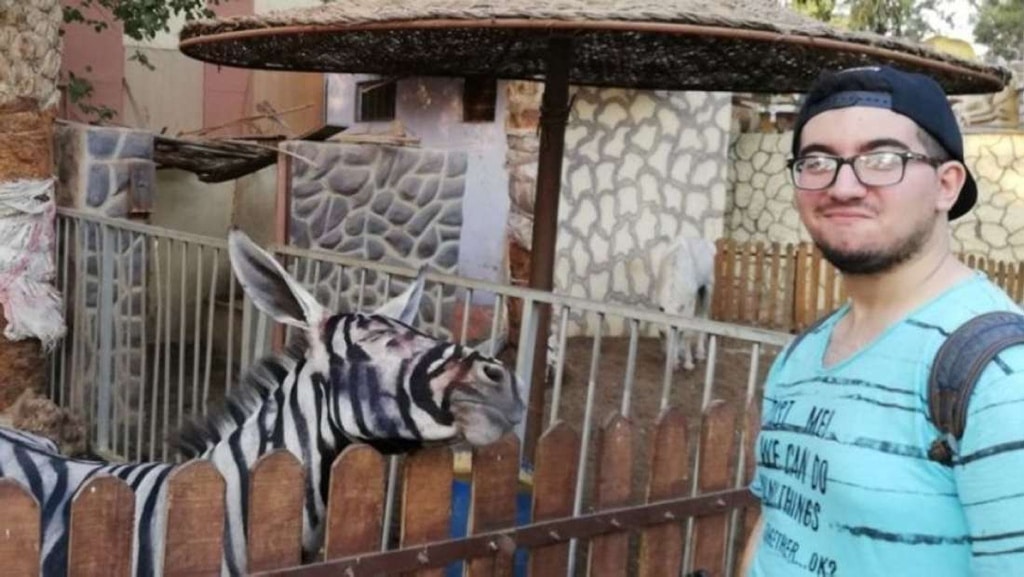 ¿Cebras falsificadas? Acusan a un zoo de El Cairo de pintarle rayas a un pollino
