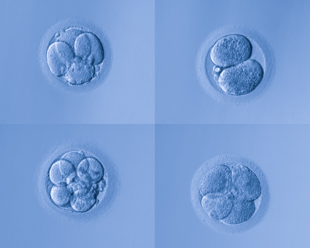 Científicos chinos modifican genéticamente embriones humanos