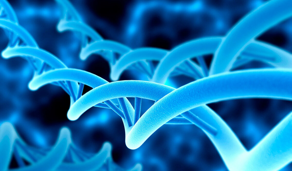 Científicos españoles descubren 600 genes nuevos en humanos