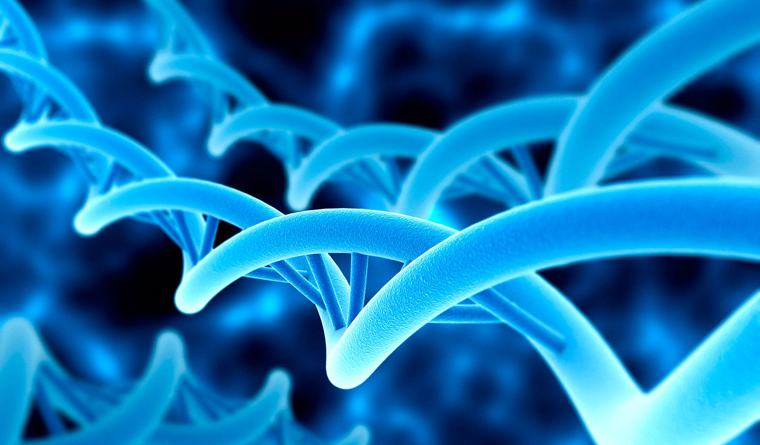 Científicos españoles descubren 600 genes nuevos en humanos