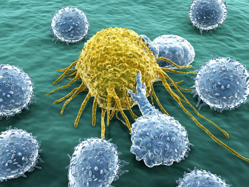 Científicos podrían haber encontrado el talón de Aquiles del cáncer 1 cientificos podrian haber encontrado el talon de aquiles del cancer Científicos podrían haber encontrado el talón de Aquiles del cáncer