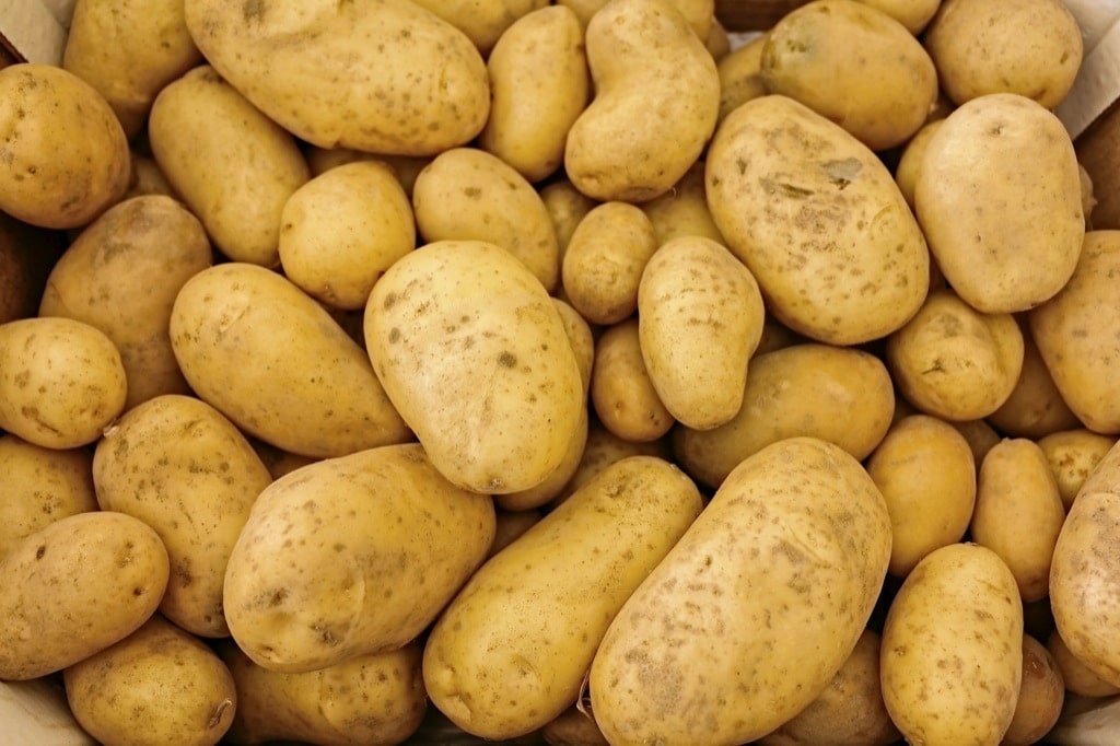 Comer patatas más de cuatro veces a la semana es malo