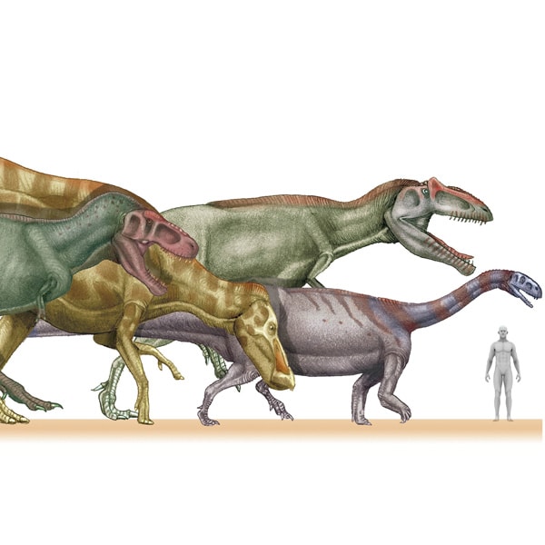 Comparativa de tamaños de dinosaurios - Quo