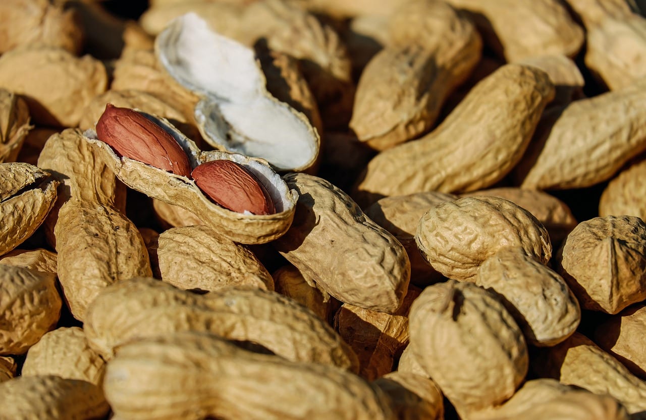 Consiguen curar la alergia a los cacahuetes