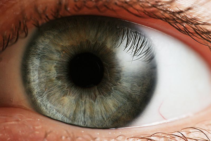 Consiguen diagnosticar un tipo de demencia a través del ojo