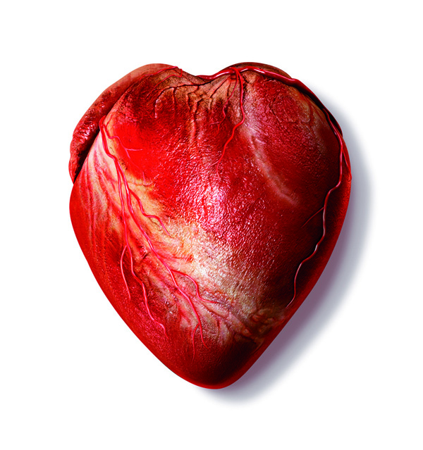 corazon bioartificial