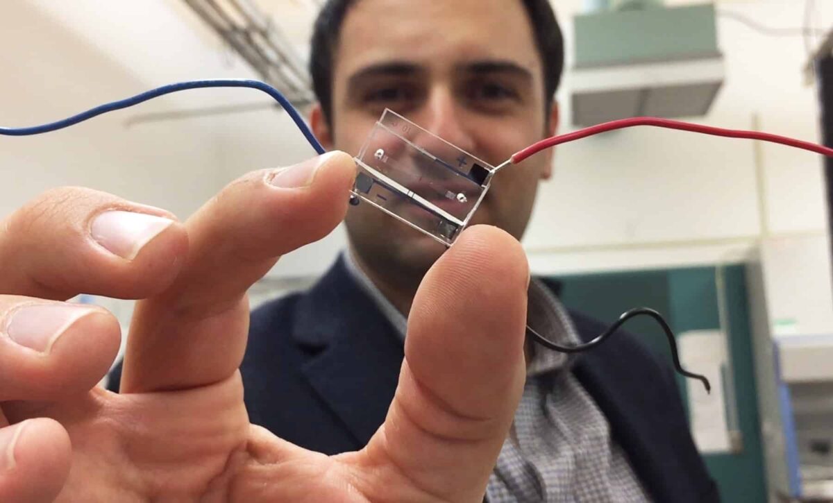 Crean un laboratorio en un microchip