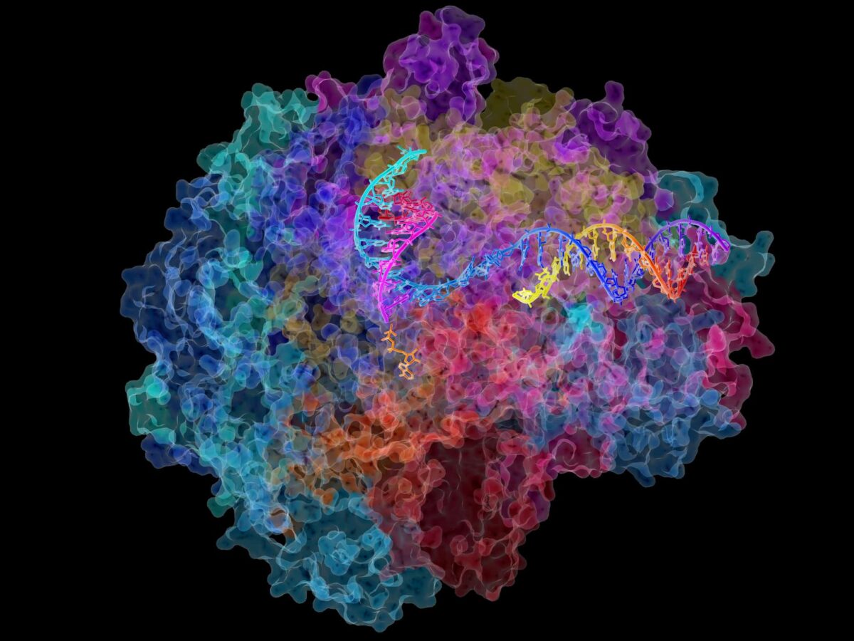 Crean un sistema de edición de ARN similar a CRISPR