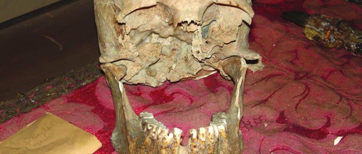 Creen haber descubierto el cráneo de Plinio el Viejo, el héroe de Pompeya