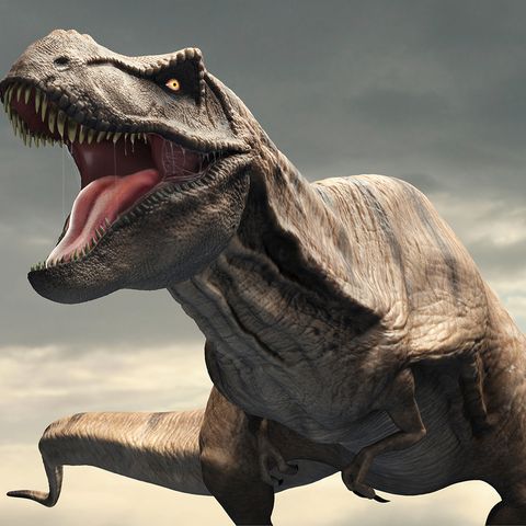 ¿Cuándo se descubrió la existencia de los dinosaurios?