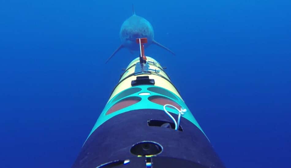 Cuando un tiburón ataca un drone