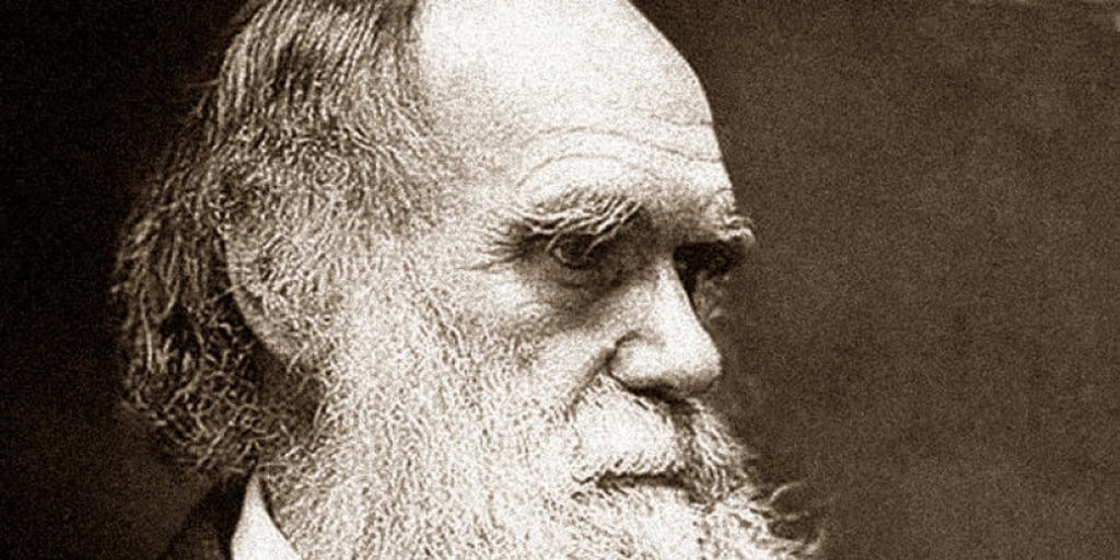 Darwin fue un pionero en la lucha contra el maltrato animal