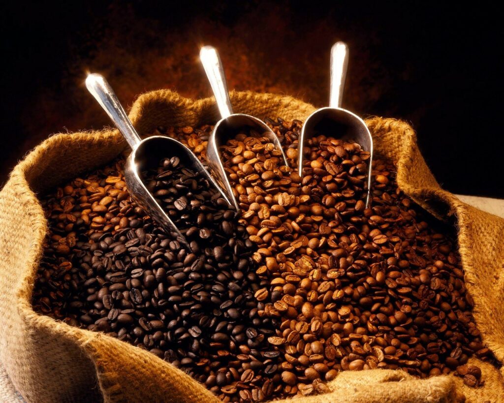 Descifran el genoma del café 1 descifran el genoma del cafe Descifran el genoma del café