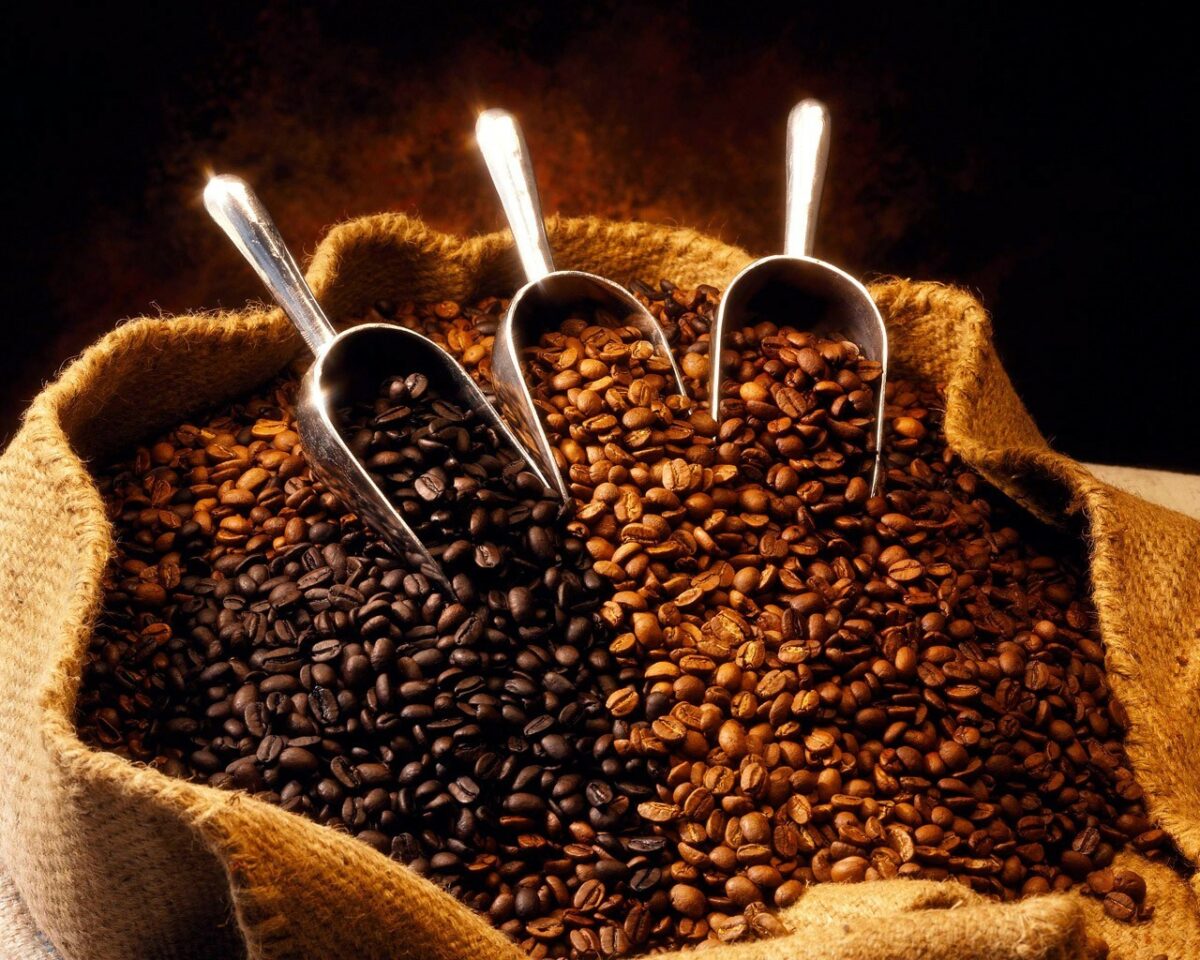 Descifran el genoma del café