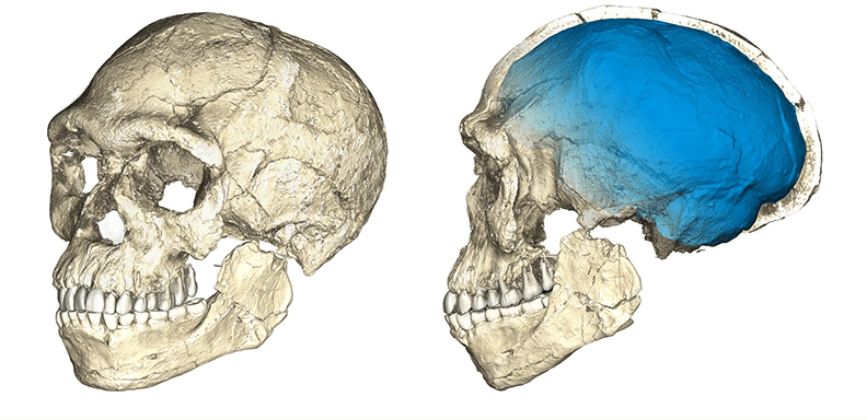 Descubiertos los fósiles más antiguos de Homo Sapiens